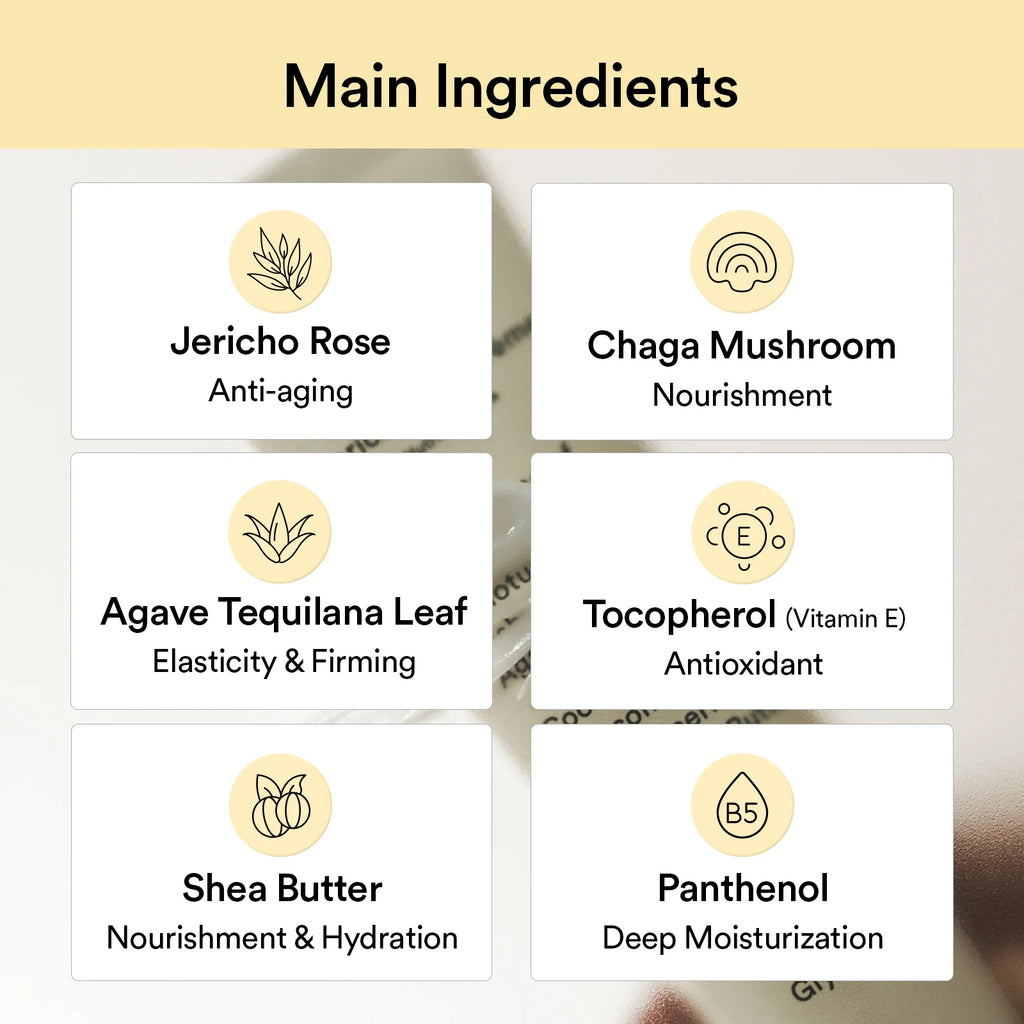 Abib Jericho Rose Creme Nutrition Tube, 75ml - Seoulma-skincare